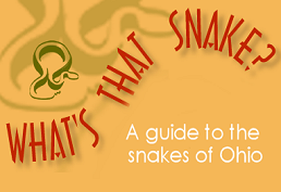 What's That Snake database icon